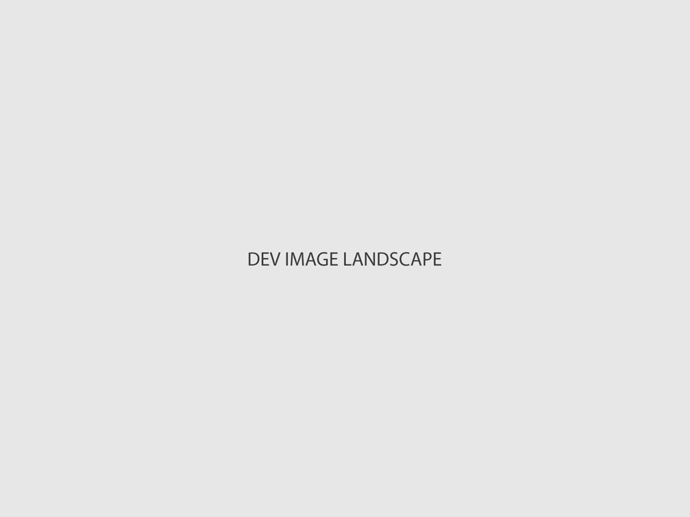 Dev Landscape
