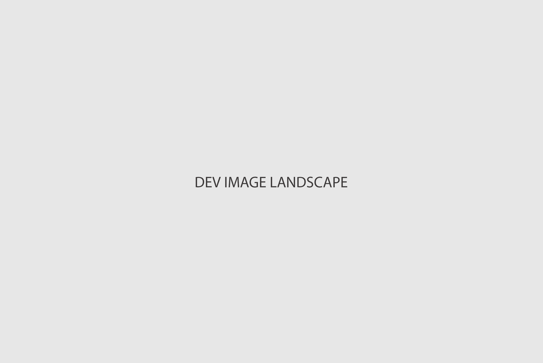 Dev Landscape