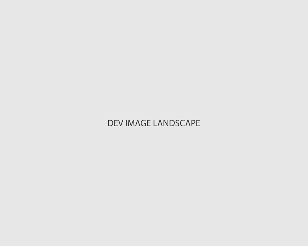 Dev Landscape