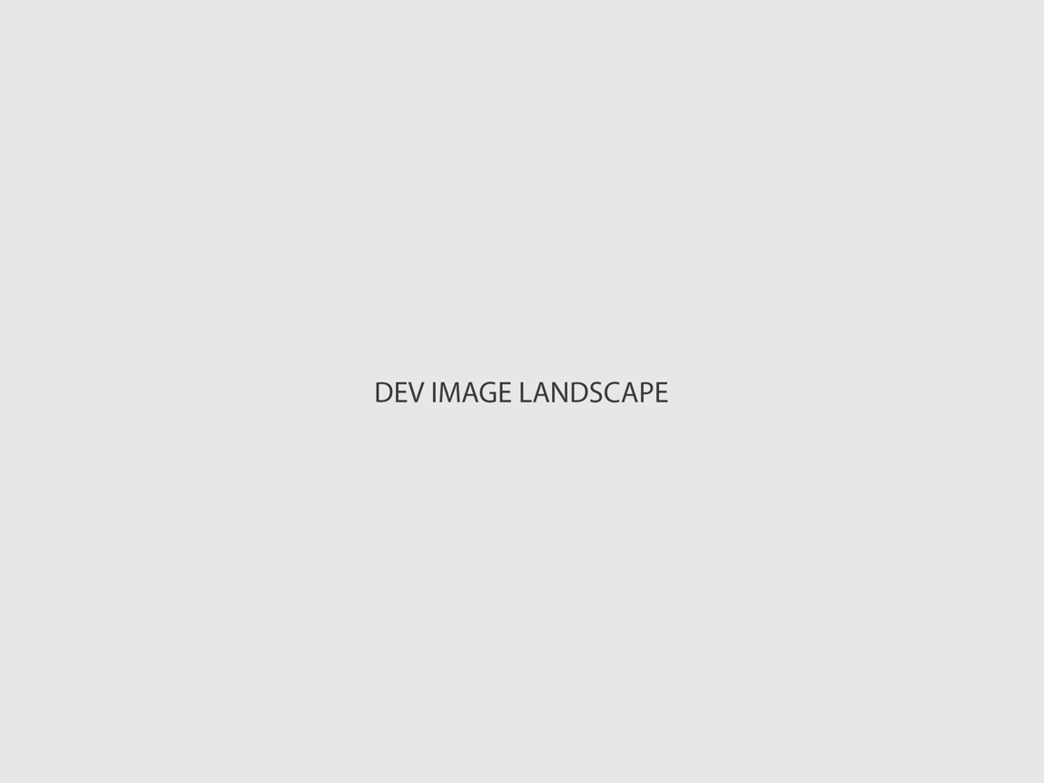 Dev Landscape